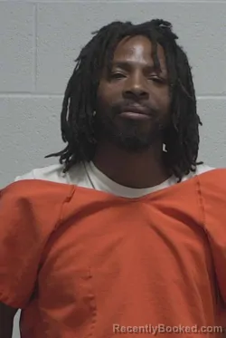 Mugshot of SHANON LEE PLAYER
