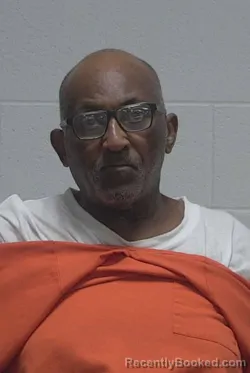 Mugshot of JIMMIE LEE BRINSON