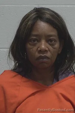 Mugshot of TRACEY MICHELLE OHNMEISS