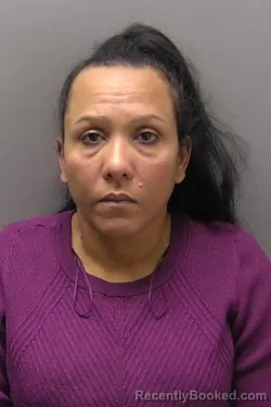 Mugshot of MARILUZ MATOS MARTINEZ