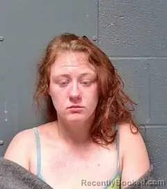 Mugshot of Brianna Dawn Evans