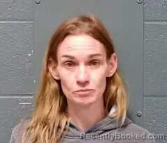 Mugshot of Amber Kae Splitter