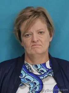 Mugshot of DONNA LEE