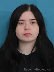 Mugshot of LEANN HERRING