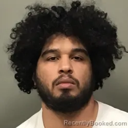 Mugshot of ALES NOEL MARTINES PERALTA