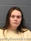 Mugshot of SYDNEY MICHAL JOHNSON