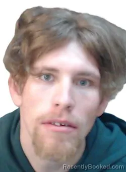 Booking photo from Cedar County, Missouri