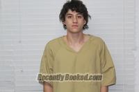 Booking photo from Christian County, Missouri