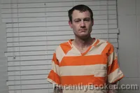 Mugshot of JUSTIN NELSON