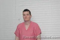 Mugshot of LINDSEY MICHELLE MCMEEKIN