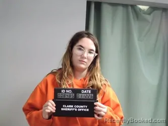 Booking photo from Clark County, Missouri