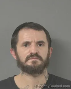 Mugshot of BRANDON RAY WILLIAMS