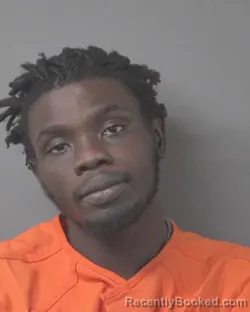 Mugshot of SHAWN ANTHONY M NELSON