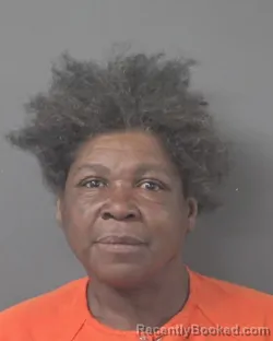 Mugshot of JACQUELYN MCCLEAVE