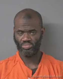 Mugshot of ROBIN JEVON PONE