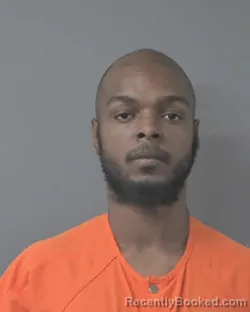 Mugshot of LAVETTE HINTON