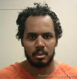 Mugshot of ANDRICK LAMONT LEE