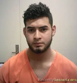 Mugshot of DENILSON MAURICIO HERNANDEZ-GARCIA