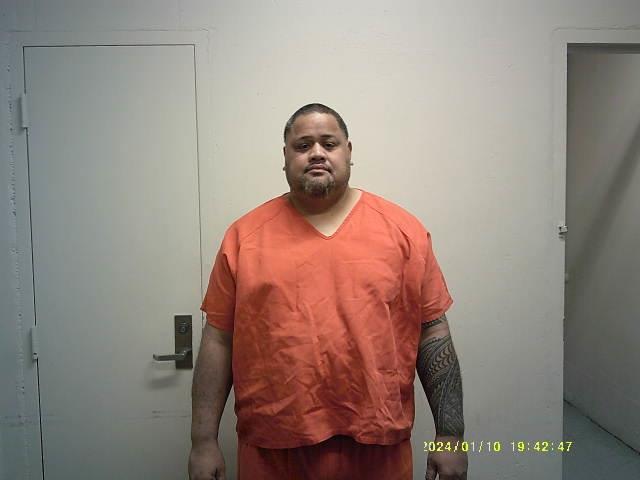 Mugshot of ISILELI LOLO TUIAKI