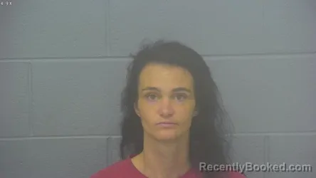 Mugshot of ALYSSA D SAWYERS
