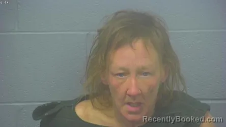 Mugshot of CHERYL ELIZABETH AKINS