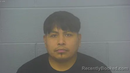 Mugshot of LUIS ENRIQUE DOMINGUEZ-MARTINEZ