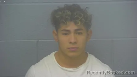 Mugshot of MAYNOR RODYNAI GONZALEZ-TORRES