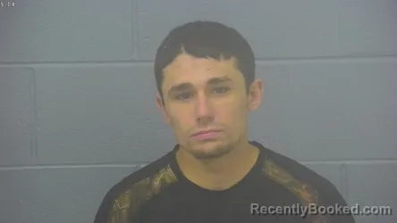 Mugshot of MARSHALL ALLEN WILLIAMS