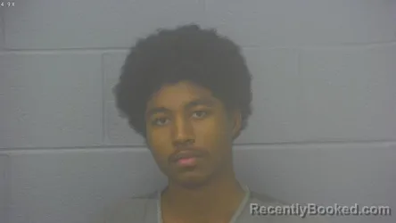 Mugshot of NATHANIEL THOMAS BRADLEY