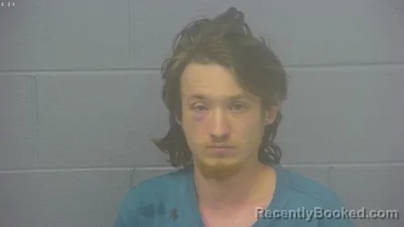 Mugshot of TRISSTON ELSON WILSON