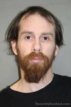 Mugshot of DILLON JAMES HOLLINGER