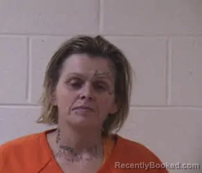Mugshot of TINA MARIE RIDDLE
