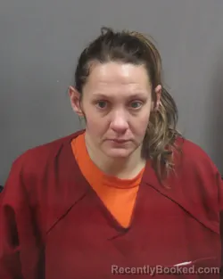 Mugshot of JENNIFER RENEE ALLISON