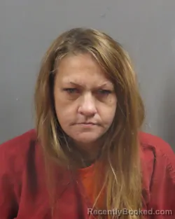 Mugshot of BRANDI RENEE DIXON