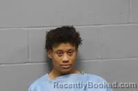Mugshot of SHANTEL CLAIR WILLIS