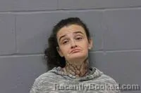 Booking photo from Johnson County, Missouri