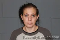 Mugshot of LISA HOLLAND