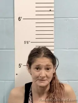 Mugshot of ASHLEY LYNN SAWYER