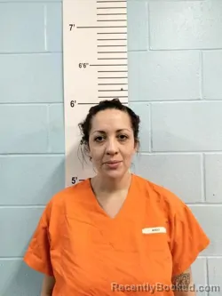 Mugshot of BRIANNA B CLARK