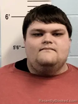 Mugshot of COLE JASON-MICHAEL MCMEANS