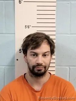 Mugshot of DAVID RICHARD GERINGER