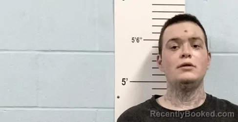 Mugshot of DILLON M HOLLIS