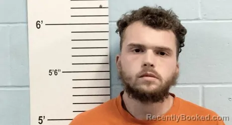 Booking photo from Lincoln County, Missouri