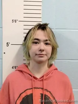 Mugshot of KIELY UNK MCLAUGHLIN