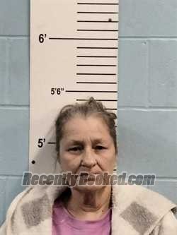 Booking photo from Lincoln County, Missouri