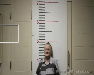 Mugshot of PATRICIA ANN CROMEANS