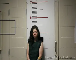 Mugshot of KAREN HARVEY