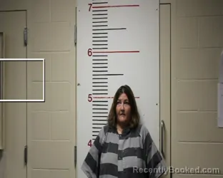 Mugshot of SHELLY DAWN HENSON