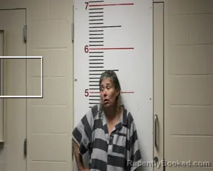 Mugshot of KRISTY KAY DOWNES