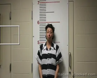 Mugshot of EMMILY ESTHER PALMER